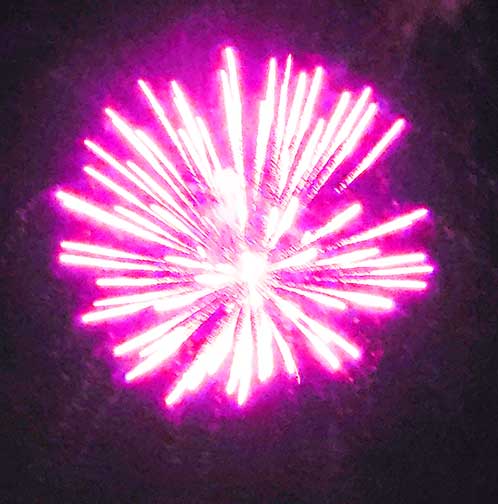 cognition4thofjuly